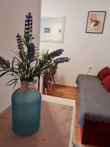 Apartments with WiFi Pula - 22955