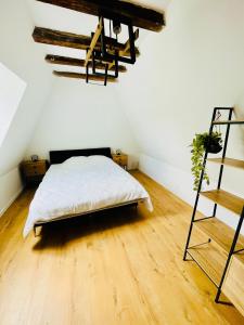 Appartements Le Loft - Entre Loire et Chateau Royal - Manoir de la Concorde : photos des chambres