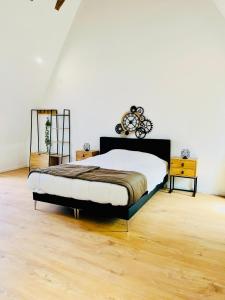 Appartements Le Loft - Entre Loire et Chateau Royal - Manoir de la Concorde : photos des chambres