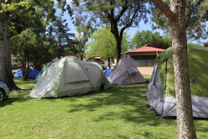 Young Caravan and Tourist Park