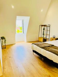 Appartements Le Loft - Entre Loire et Chateau Royal - Manoir de la Concorde : photos des chambres