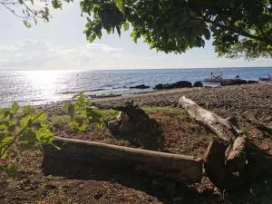 Big Fun Beach House - Bacong