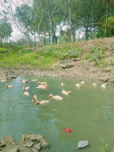 Ninh Binh Friendly Homestay