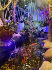 Green Jungle Homestay - Phù Hợp Gia Đình Từ 10 - 15 Người Lớn & 5 Trẻ Em - Bãi Đậu Xe Ô Tô, Sân BBQ - Miễn Phí Sử Dụng Dịch Vụ Hồ Bơi Cách Homestay 3 Phút Đi Bộ - 7 Phút Đi Bộ Đến Biển - 5 Phút Đến