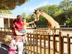 Studio rénové face à la plage avec balcon et garage - FR-1-92-948