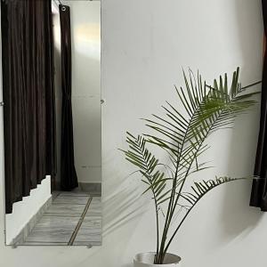 1BHK Villa In Heerapura