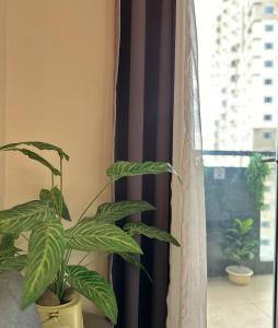 Manhattan Heights 200 mbps Wifi Great Location in Araneta City