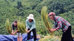 Cha Ta Homestay & Trekking Tour Sa Pa
