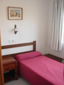 Single Room room in Hostal Talamanca