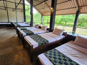 Kemin Escapes - Yala