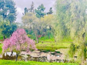 The Grand Waterside Estate Easy drive to Yosemite