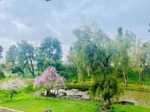 The Grand Waterside Estate Easy drive to Yosemite