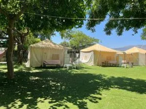 בלום ווילג' - קייקי כפר בלום - 赛德内赫姆亚