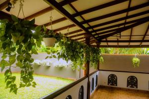 Evergreen Cottage