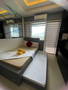 1553 Moa view bigcut