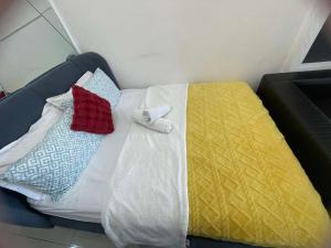 1553 Moa view bigcut