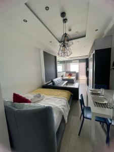 1553 Moa view bigcut