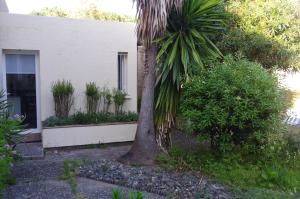 Appartements Studio entre mer et montagne : photos des chambres