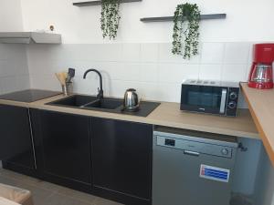 Appartements Appart'hotel SOLESMES : photos des chambres