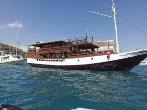 2 days 1 night sharing trip komodo