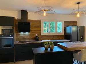 Charmante maison de famille avec jardin - Escource