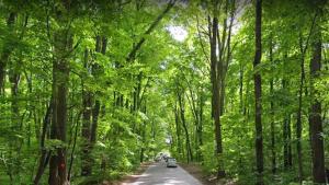 ClausStudio Greenfield Baneasa