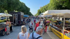 Le Studio des Tilleuls, Climatisé & Vrai Lit