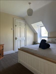 Double Room with Private Bathroom room in The Grapevine Hostel