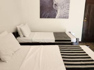 Kemin Escapes - Yala