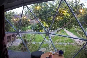 Lemon tree dome house - Paralia Kallonis