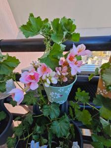 Tirana Center Apartment 12