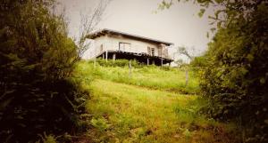 Studio de pleine nature idéal pour se ressourcer en solo