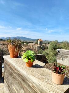 Villas Maison contemporaine en bois au coeur des Corbieres : photos des chambres