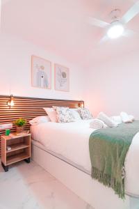 Buganvilla Catedral Boutique