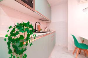 Buganvilla Catedral Boutique