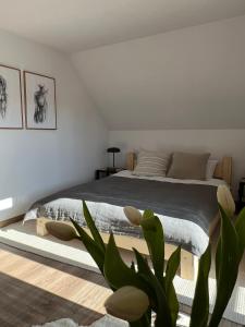 Galopowisko Szafarnia