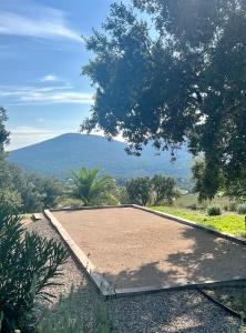 Maisons d'hotes Tra Vigna e Mare : photos des chambres
