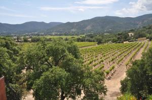 Maisons d'hotes Tra Vigna e Mare : photos des chambres