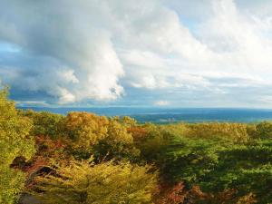 Wakaki Ryokan - Nasu Yumoto Onsen