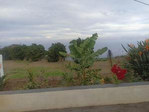 Mara Jos rural house