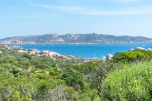 Flat La Quercia img19