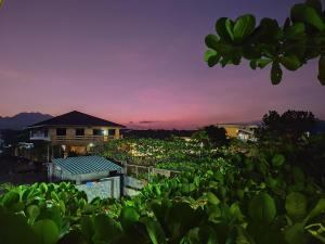 Calishores Beachfront Resort