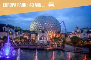 Appartements Appartement Ginkgo au Coeur de L-Alsace - Selestat - 4 a 6 personnes : photos des chambres