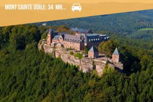 Appartements Appartement Ginkgo au Coeur de L-Alsace - Selestat - 4 a 6 personnes : photos des chambres