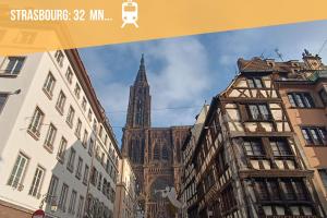 Appartements Appartement Ginkgo au Coeur de L-Alsace - Selestat - 4 a 6 personnes : photos des chambres