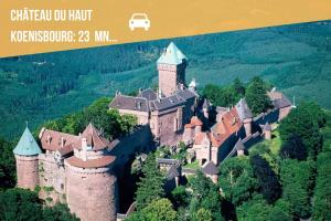 Appartements Appartement Ginkgo au Coeur de L-Alsace - Selestat - 4 a 6 personnes : photos des chambres