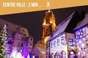 Appartements Appartement Ginkgo au Coeur de L-Alsace - Selestat - 4 a 6 personnes : photos des chambres