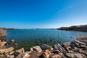 The Garden Apartment