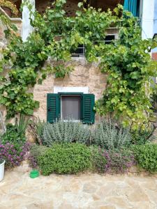 Country house Koštela