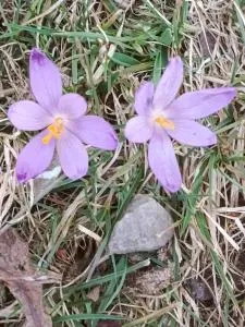 Gazdówka na Mosornym Groniu - Ohłypów